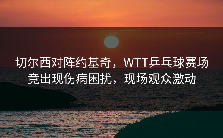 切尔西对阵约基奇，WTT乒乓球赛场竟出现伤病困扰，现场观众激动